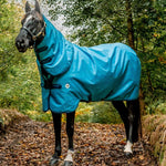 Horseware Amigo® Hero 900 Revive Plus Turnout (200g Medium) - Horseware Ireland - Equiluxe Tack