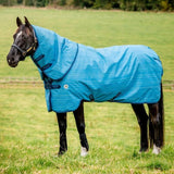 Horseware Amigo® Hero 900 Revive Plus Turnout (200g Medium) - Horseware Ireland - Equiluxe Tack