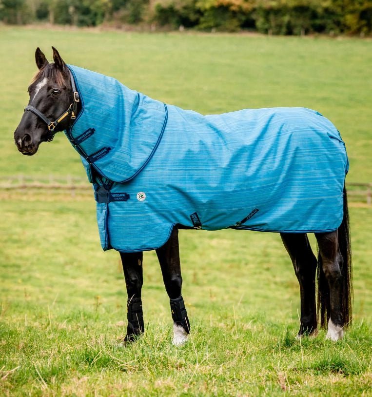 Horseware Amigo® Hero 900 Revive Plus Turnout (200g Medium) - Horseware Ireland - Equiluxe Tack