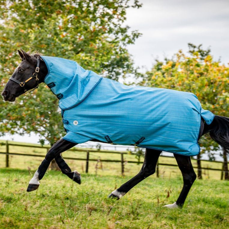 Horseware Amigo® Hero 900 Revive Plus Turnout (200g Medium) - Horseware Ireland - Equiluxe Tack