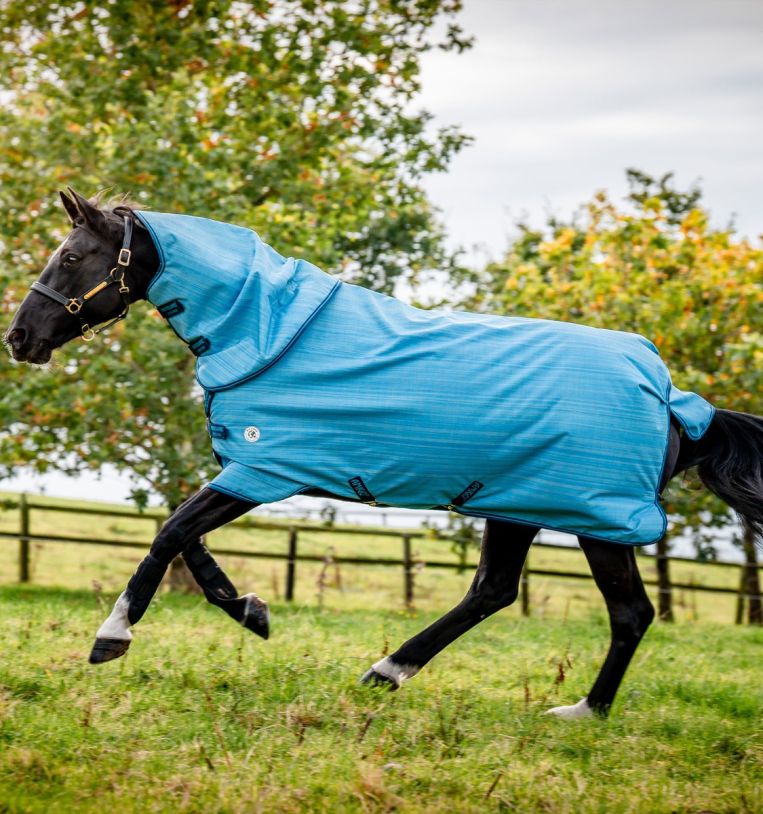 Horseware Amigo® Hero 900 Revive Plus Turnout (200g Medium) - Horseware Ireland - Equiluxe Tack