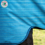 Horseware Amigo® Hero 900 Revive Plus Turnout (200g Medium) - Horseware Ireland - Equiluxe Tack