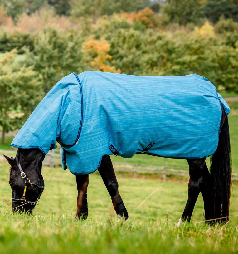 Horseware Amigo® Hero 900 Revive Plus Turnout (200g Medium) - Horseware Ireland - Equiluxe Tack