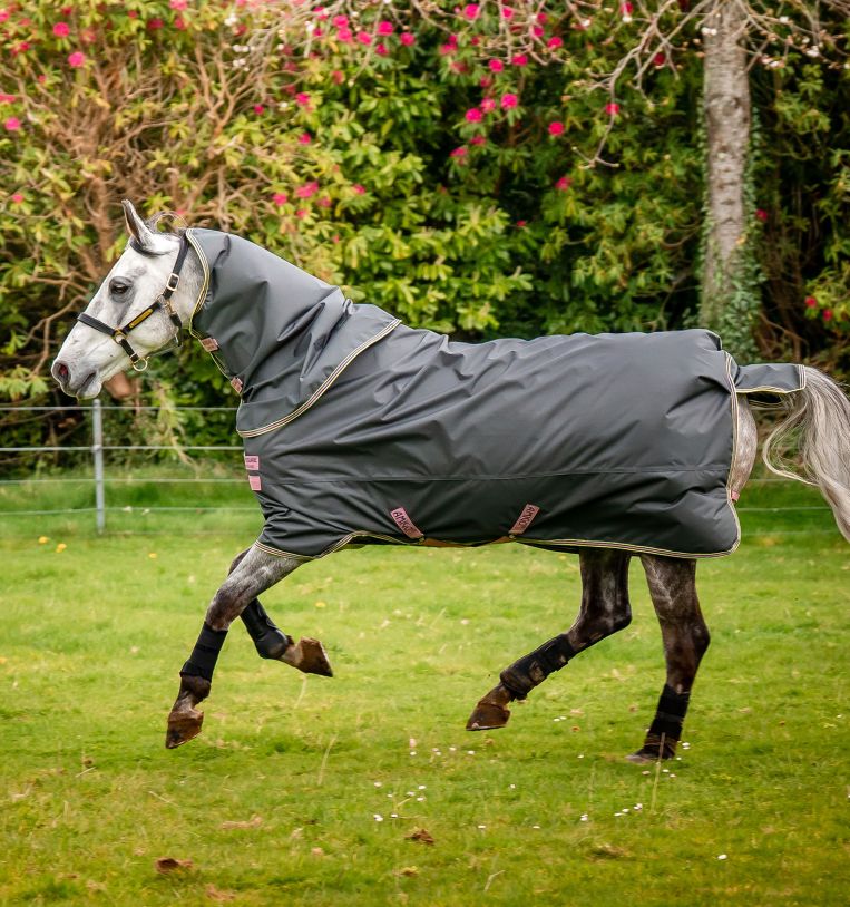 Horseware Amigo® Hero Ripstop Plus Turnout (0g Light) - Horseware Ireland - Equiluxe Tack