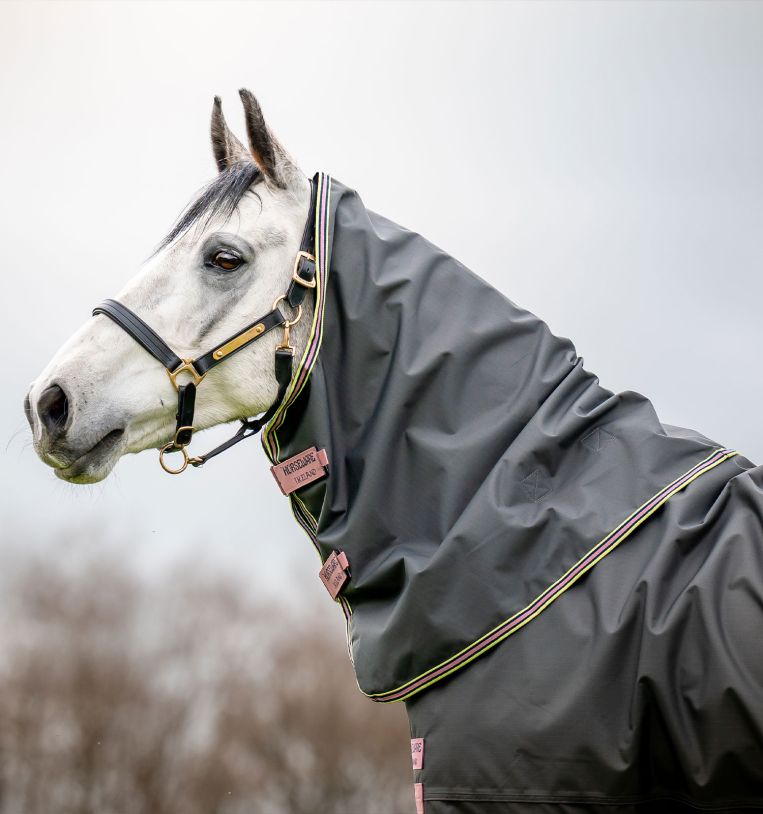 Horseware Amigo® Hero Ripstop Plus Turnout (0g Light) - Horseware Ireland - Equiluxe Tack