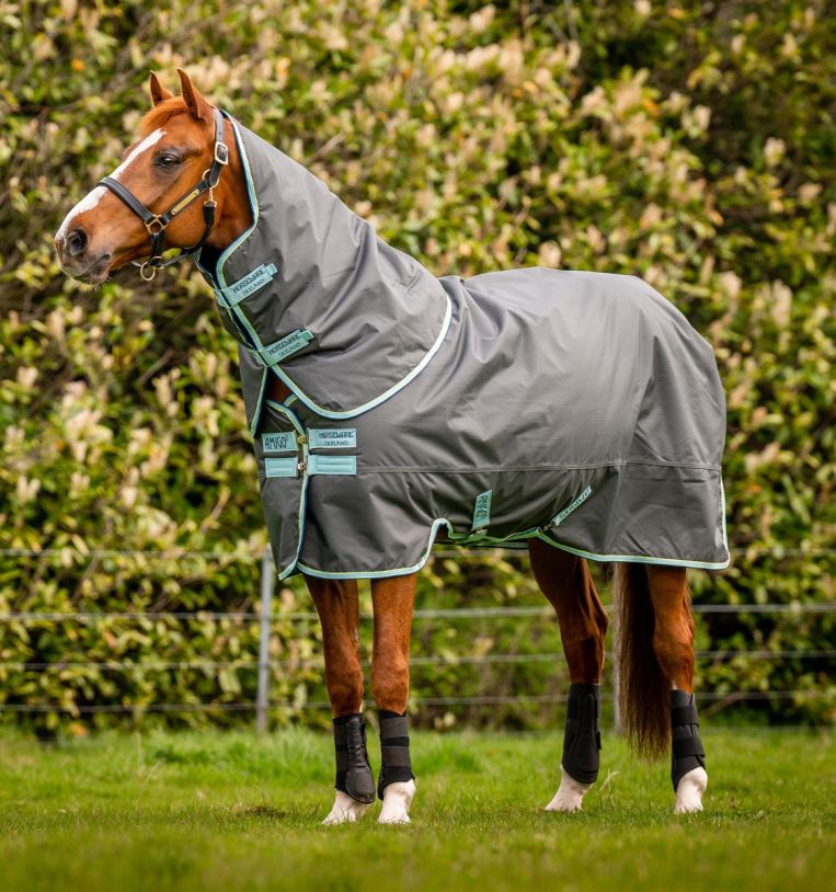 Horseware Amigo® Hero Ripstop Plus Turnout (200g Medium) - Horseware Ireland - Equiluxe Tack