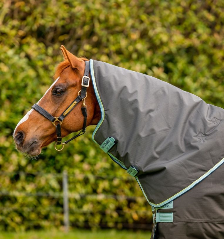 Horseware Amigo® Hero Ripstop Plus Turnout (200g Medium) - Horseware Ireland - Equiluxe Tack