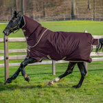 Horseware Amigo® Hero Ripstop Plus Turnout Light (100g Light) - Horseware Ireland - Equiluxe Tack