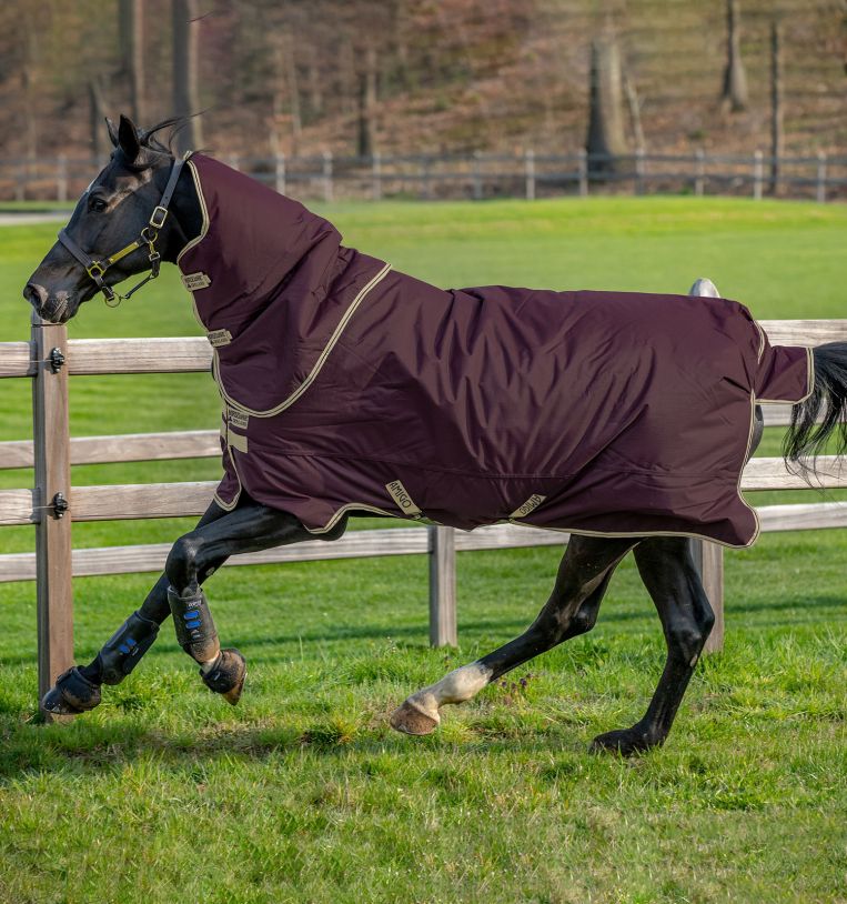 Horseware Amigo® Hero Ripstop Plus Turnout Light (100g Light) - Horseware Ireland - Equiluxe Tack