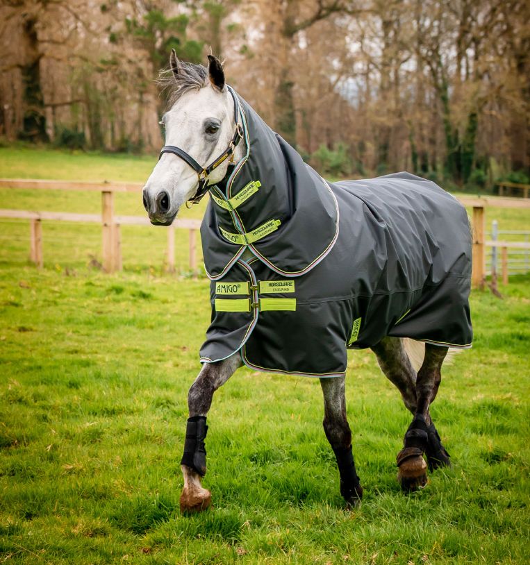 Horseware Amigo® Hero Ripstop Plus Turnout Light (100g Light) - Horseware Ireland - Equiluxe Tack