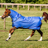 Horseware Amigo® Hero Ripstop Plus Turnout Light (100g Light) - Horseware Ireland - Equiluxe Tack