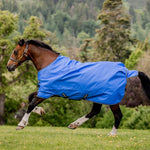 Horseware Amigo® Hero Ripstop Turnout (0g Light) - Horseware Ireland - Equiluxe Tack