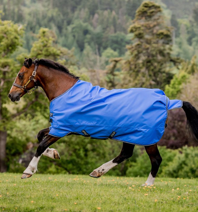 Horseware Amigo® Hero Ripstop Turnout (0g Light) - Horseware Ireland - Equiluxe Tack