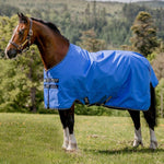 Horseware Amigo® Hero Ripstop Turnout (0g Light) - Horseware Ireland - Equiluxe Tack