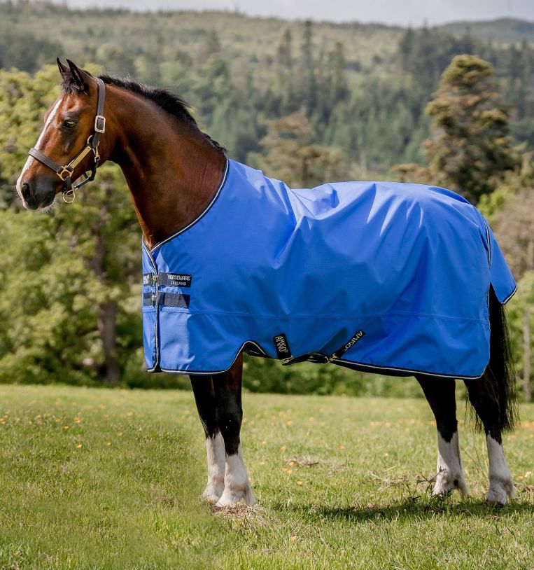 Horseware Amigo® Hero Ripstop Turnout (0g Light) - Horseware Ireland - Equiluxe Tack