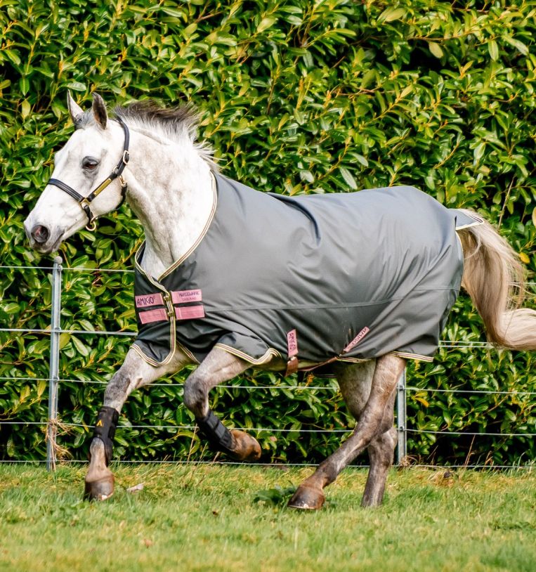 Horseware Amigo® Hero Ripstop Turnout (0g Light) - Horseware Ireland - Equiluxe Tack