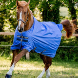 Horseware Amigo® Hero Ripstop Turnout (50g Light) - Horseware Ireland - Equiluxe Tack