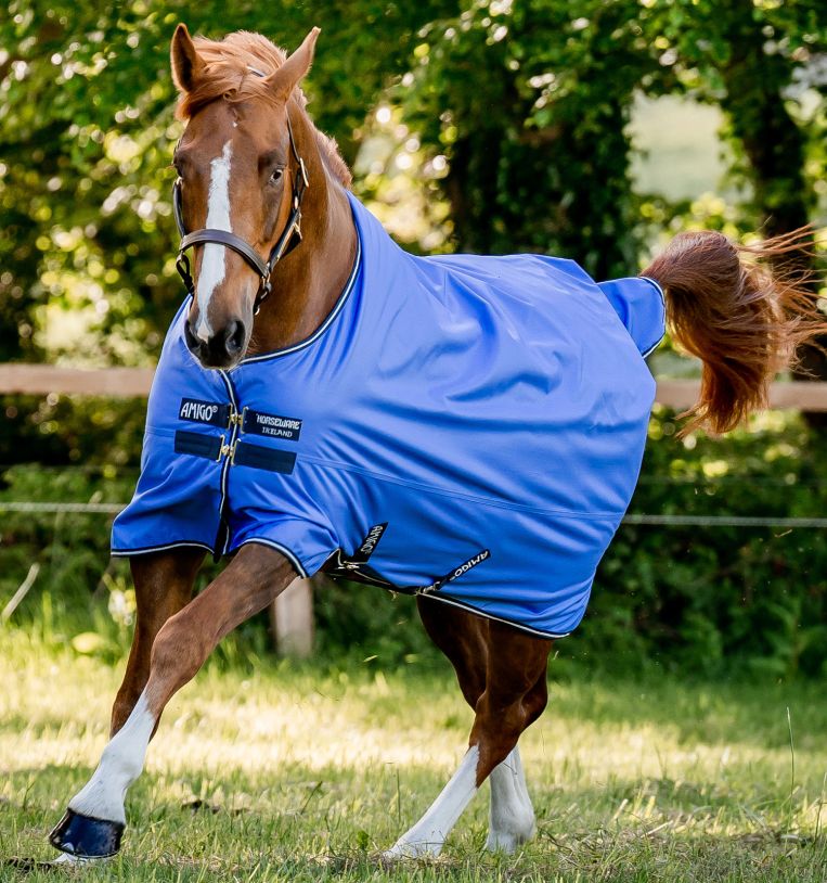 Horseware Amigo® Hero Ripstop Turnout (50g Light) - Horseware Ireland - Equiluxe Tack