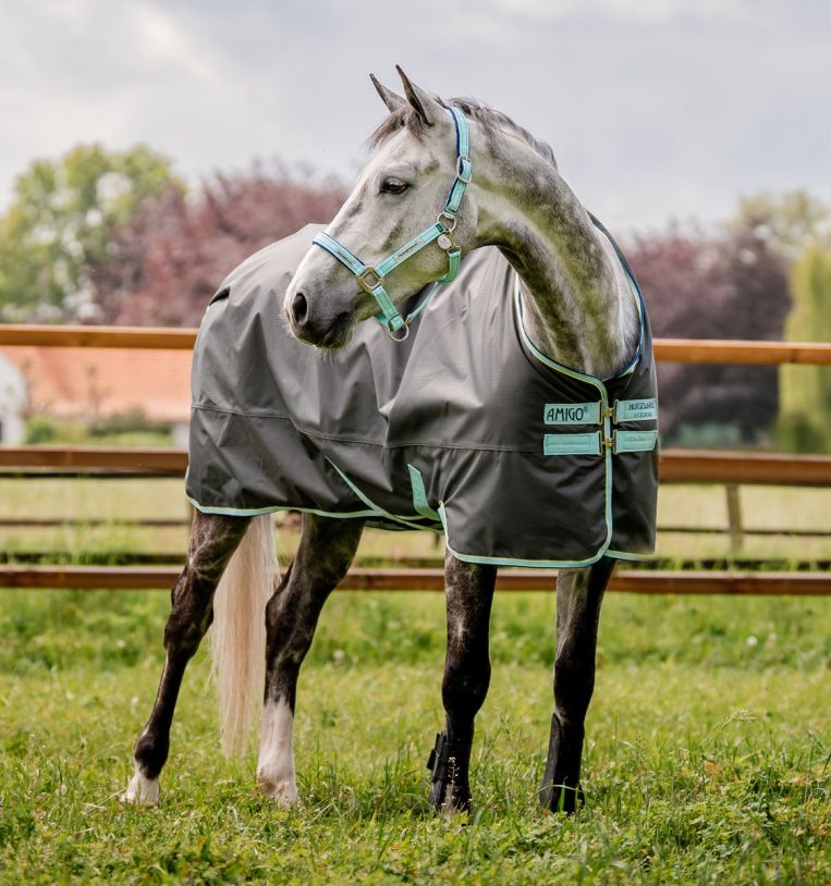 Horseware Amigo® Hero Ripstop Turnout (50g Light) - Horseware Ireland - Equiluxe Tack