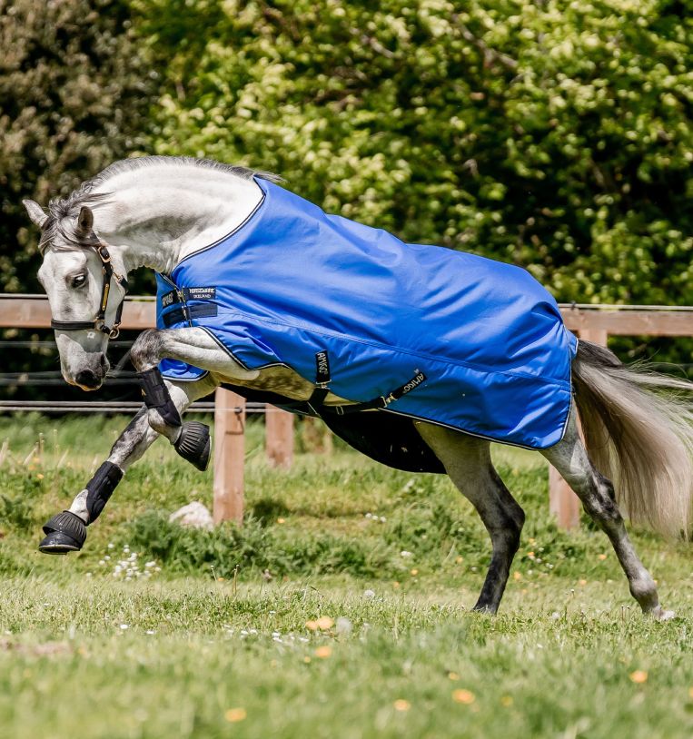 Horseware Amigo® Hero Ripstop Turnout (50g Light) - Horseware Ireland - Equiluxe Tack