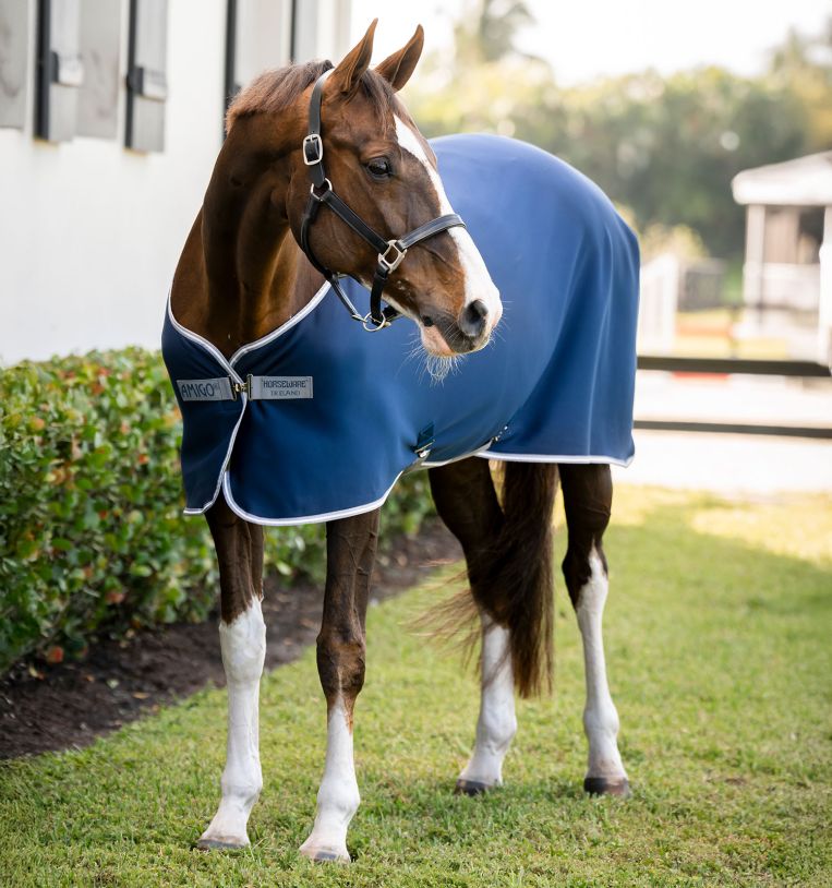 Horseware® Amigo® Jersey Cooler (No Fill) - Horseware Ireland - Equiluxe Tack