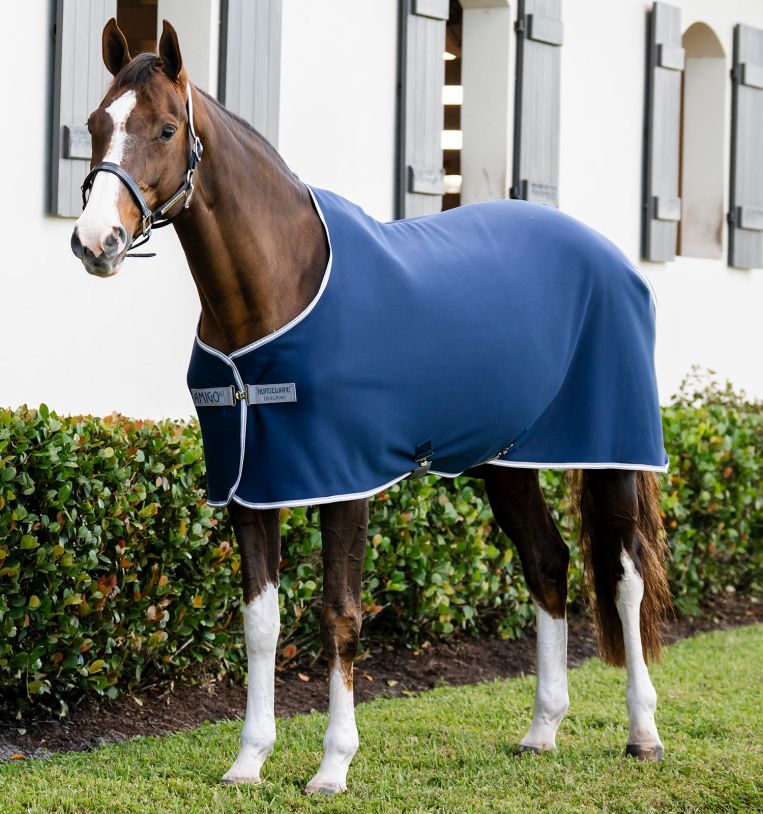 Horseware® Amigo® Jersey Cooler (No Fill) - Horseware Ireland - Equiluxe Tack