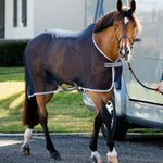 Horseware® Amigo® Net Cooler (No Fill) - Horseware Ireland - Equiluxe Tack