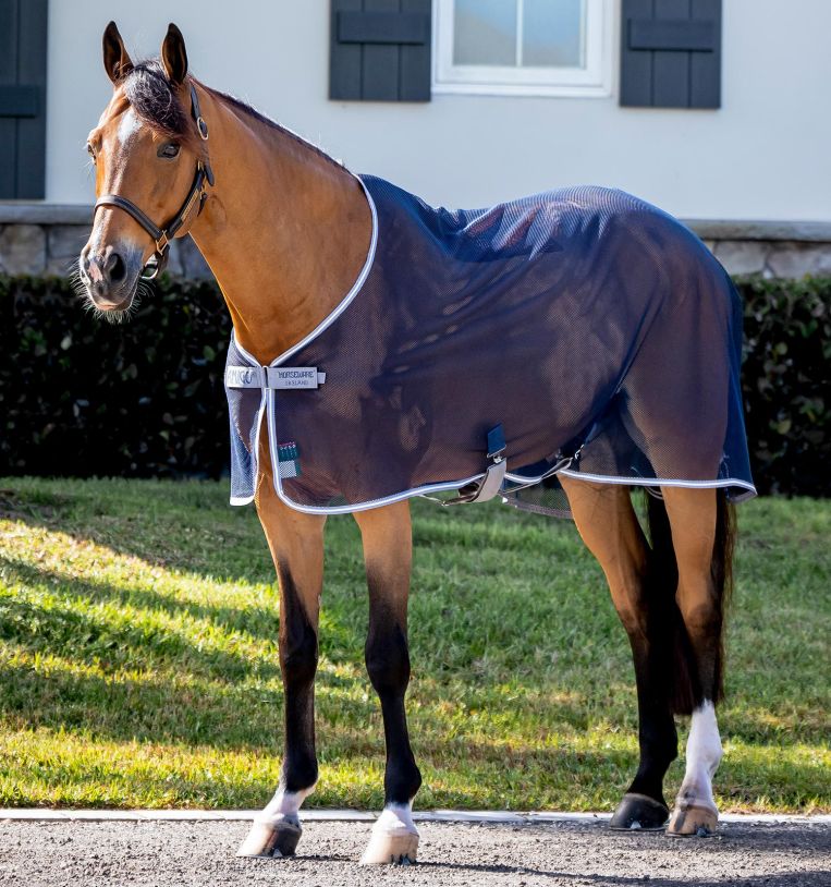 Horseware® Amigo® Net Cooler (No Fill) - Horseware Ireland - Equiluxe Tack