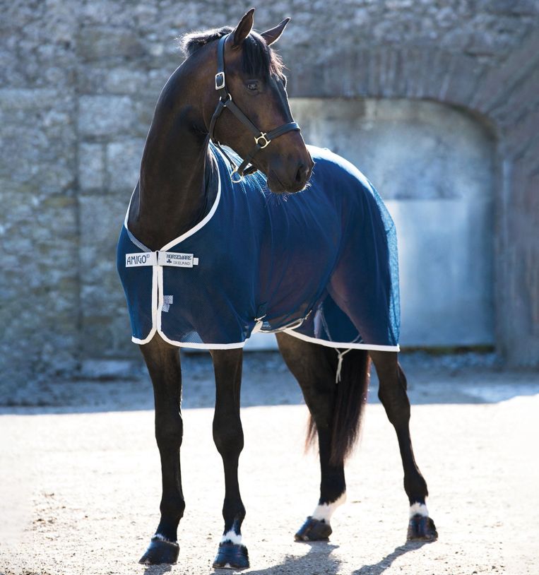 Horseware® Amigo® Net Cooler (No Fill) - Horseware Ireland - Equiluxe Tack