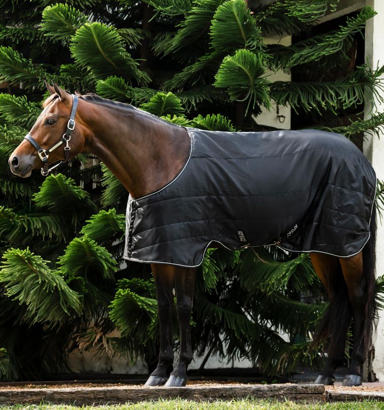 Horseware Amigo® Quarter Horse Stable 200g - Horseware Ireland - Equiluxe Tack