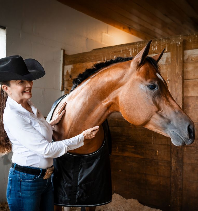 Horseware Amigo® Quarter Horse Stable 200g - Horseware Ireland - Equiluxe Tack
