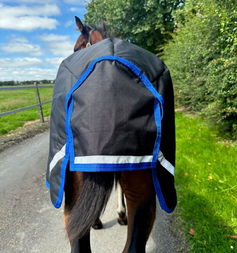 Horseware Amigo® Ripstop 900D Foal Turnout 200g - Horseware Ireland - Equiluxe Tack