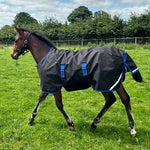 Horseware Amigo® Ripstop 900D Foal Turnout 200g - Horseware Ireland - Equiluxe Tack