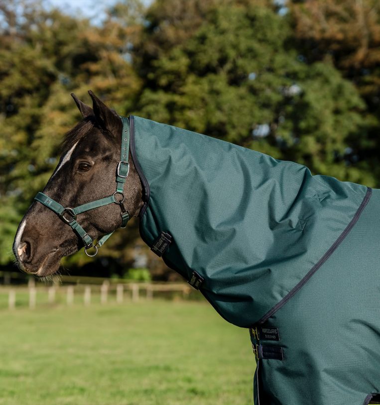 Horseware Amigo® Ripstop 900D Plus Pony Turnout 200g - Horseware Ireland - Equiluxe Tack