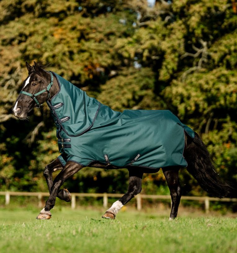 Horseware Amigo® Ripstop 900D Plus Pony Turnout 200g - Horseware Ireland - Equiluxe Tack