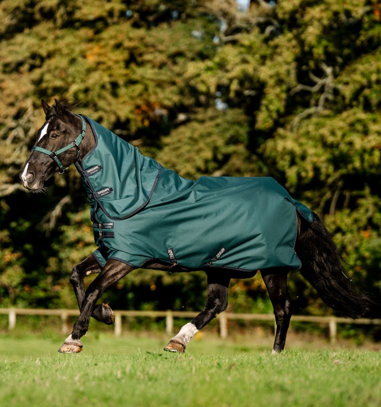 Horseware Amigo® Ripstop 900D Plus Pony Turnout 200g - Horseware Ireland - Equiluxe Tack