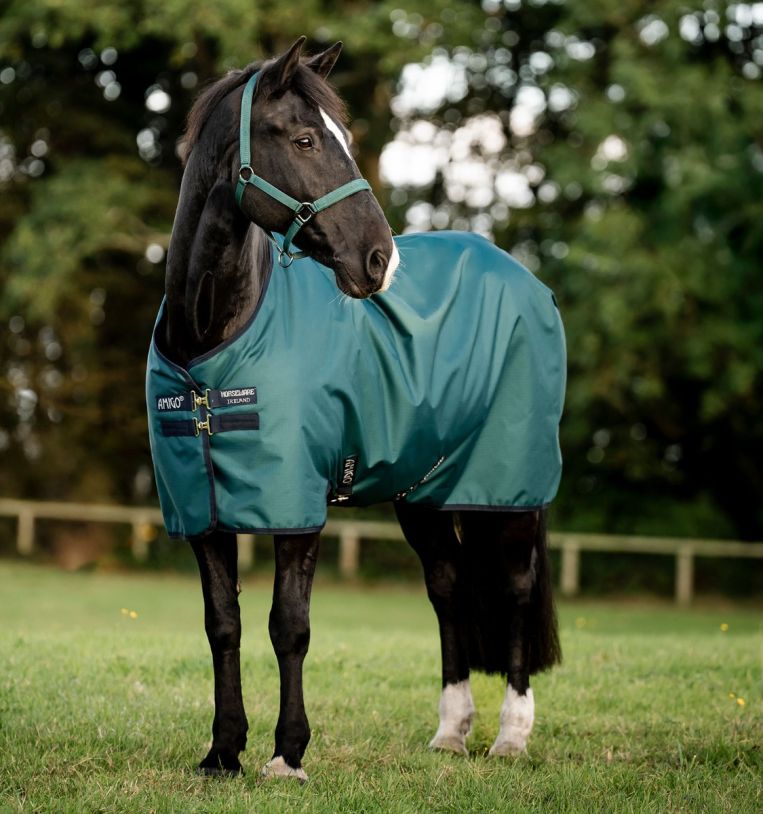 Horseware Amigo® Ripstop 900D Pony Turnout 200g - Horseware Ireland - Equiluxe Tack