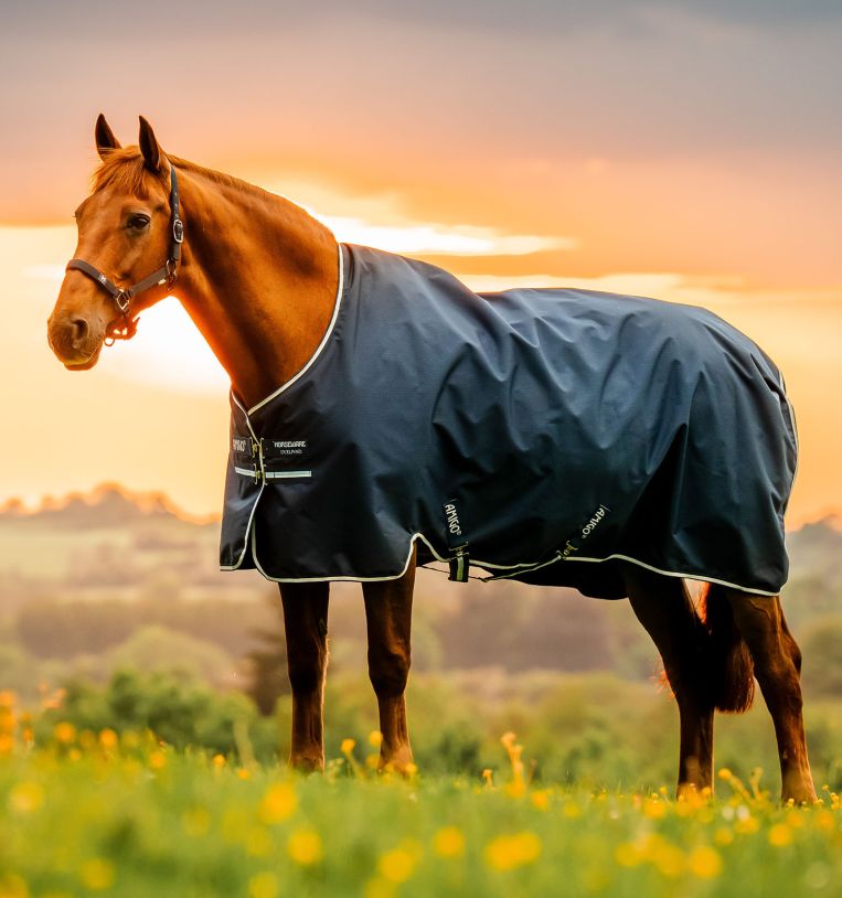 Horseware Amigo® Ripstop 900D Pony Turnout 50g - Horseware Ireland - Equiluxe Tack