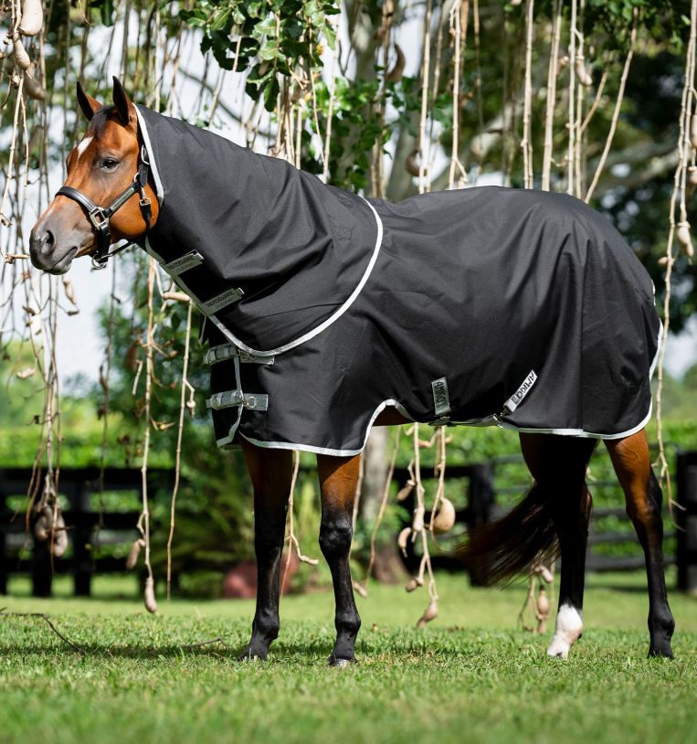 Horseware Amigo® Ripstop 900D Quarter Horse Plus Turnout 200g - Horseware Ireland - Equiluxe Tack