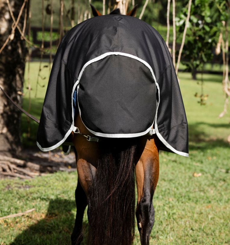Horseware Amigo® Ripstop 900D Quarter Horse Plus Turnout 200g - Horseware Ireland - Equiluxe Tack