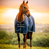 Horseware Amigo® Ripstop 900D Turnout 200g - Horseware Ireland - Equiluxe Tack
