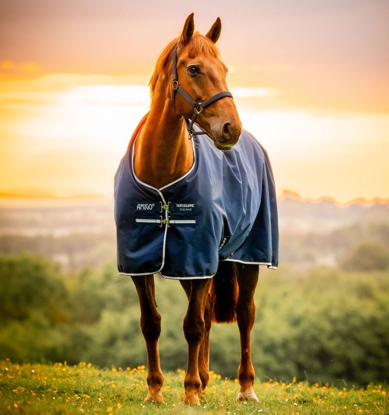 Horseware Amigo® Ripstop 900D Turnout 200g - Horseware Ireland - Equiluxe Tack