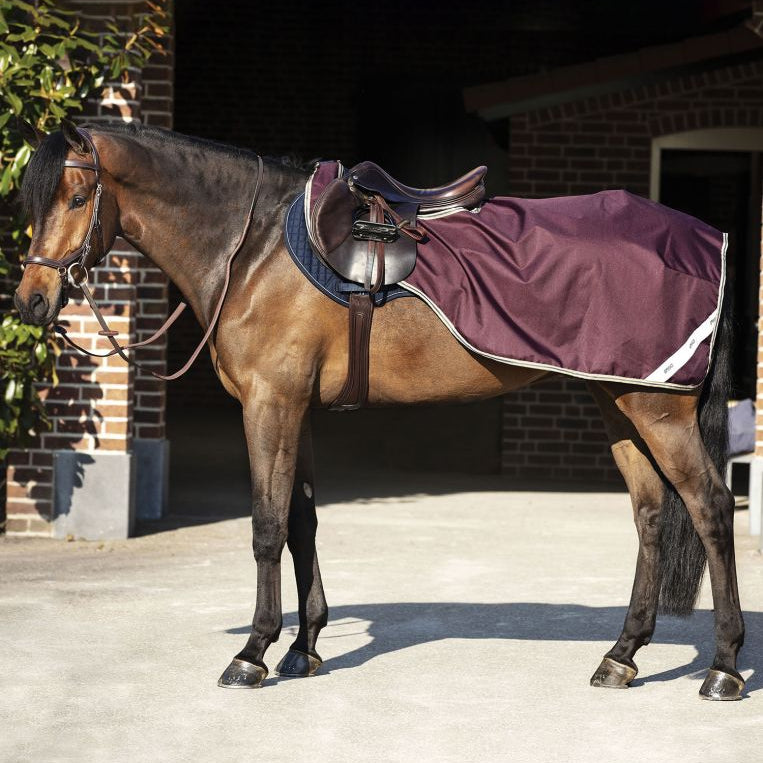 Horseware® Amigo® Ripstop Competition Sheet (Fleece lining) - Horseware Ireland - Equiluxe Tack