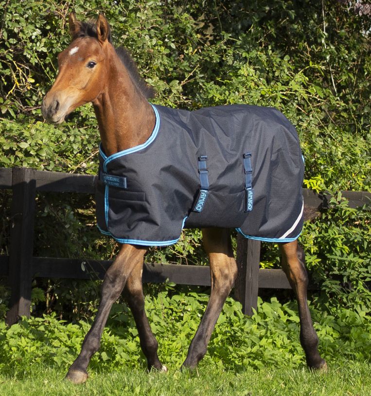 Horseware Amigo® Ripstop Foal Turnout (200g Medium) - Horseware Ireland - Equiluxe Tack