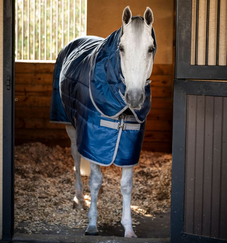 Horseware Amigo® Ripstop Insulator Plus Pony Stable 200g - Horseware Ireland - Equiluxe Tack