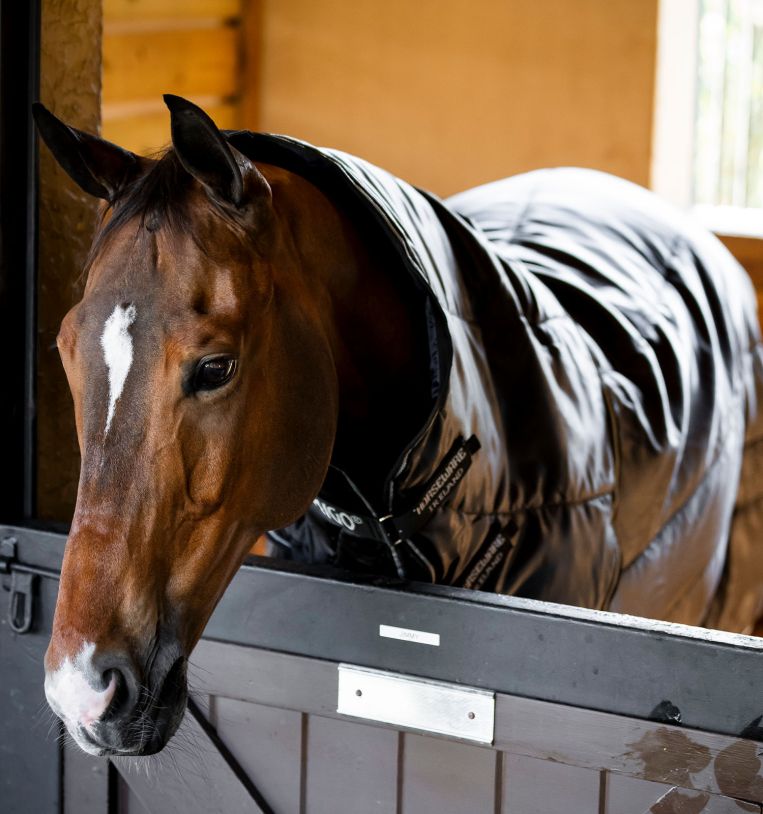 Horseware Amigo® Ripstop Insulator Plus Stable 350g - Horseware Ireland - Equiluxe Tack