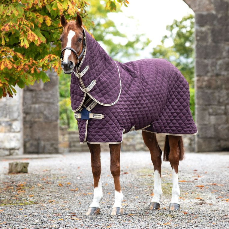 Horseware® Amigo® Stable Plus Blanket with Disc Front Closure (200g Medium) - Horseware Ireland - Equiluxe Tack