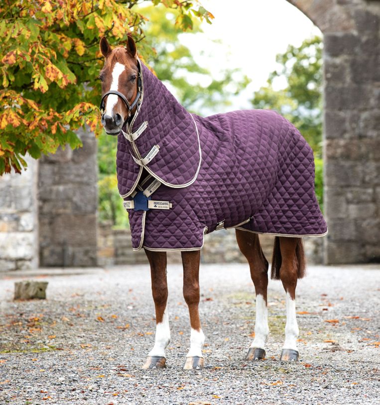 Horseware® Amigo® Stable Plus Blanket with Disc Front Closure (200g Medium) - Horseware Ireland - Equiluxe Tack