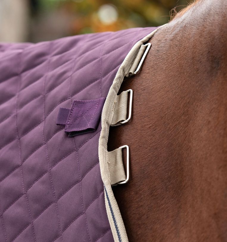 Horseware® Amigo® Stable Plus Blanket with Disc Front Closure (200g Medium) - Horseware Ireland - Equiluxe Tack