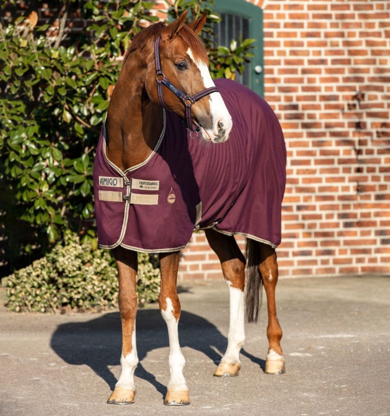 Horseware Amigo® Stable Sheet (0g Light) - Horseware Ireland - Equiluxe Tack